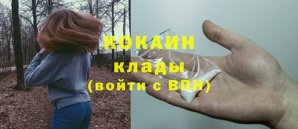 шишки Баксан