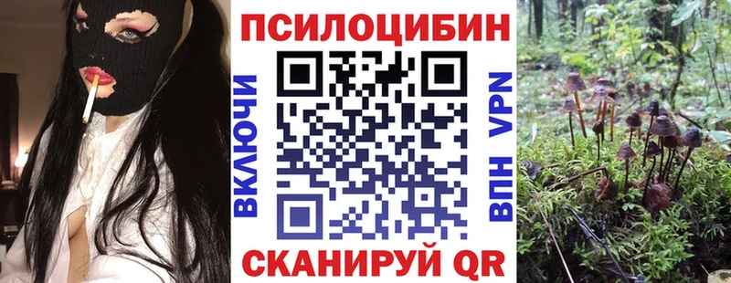 blacksprut зеркало  Петров Вал  Псилоцибиновые грибы ЛСД 